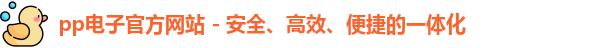 pp电子网址
